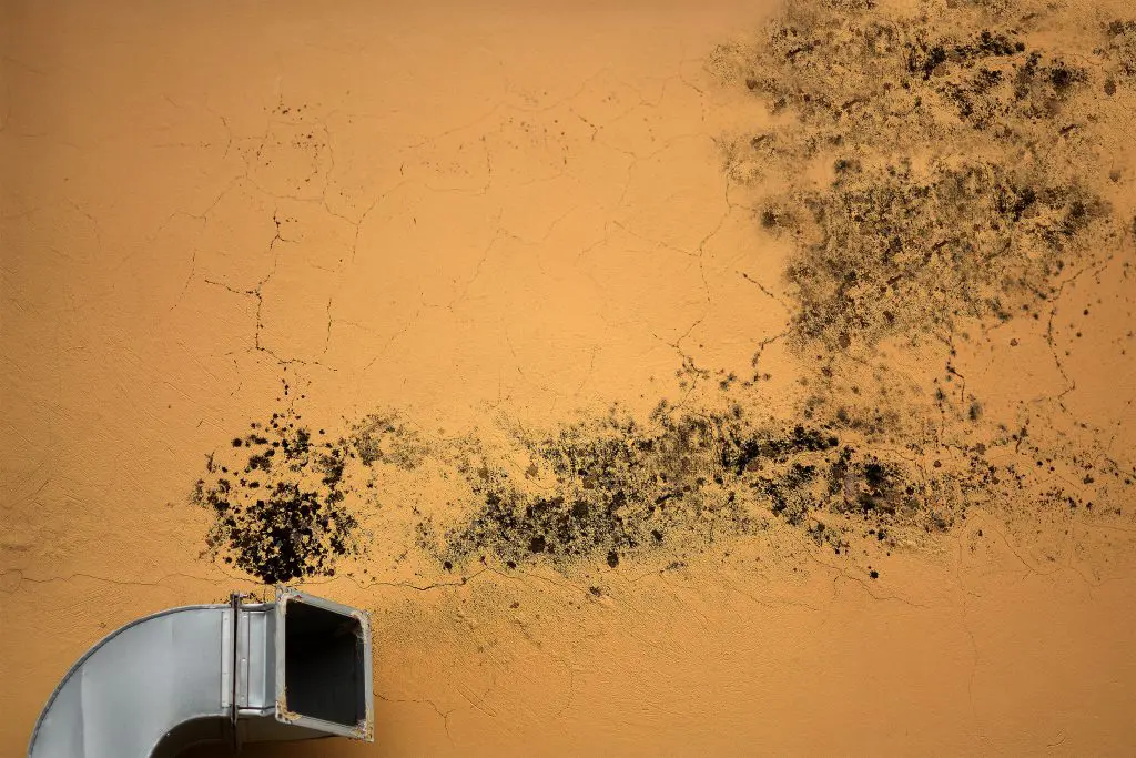 Dirty Air