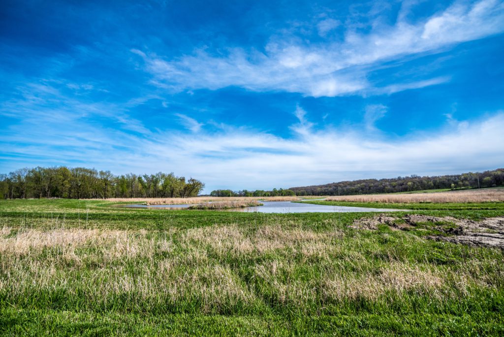 Iowa Wetland